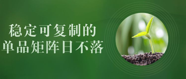 电商直播营销教程|稳定可复制的单品矩阵日不落