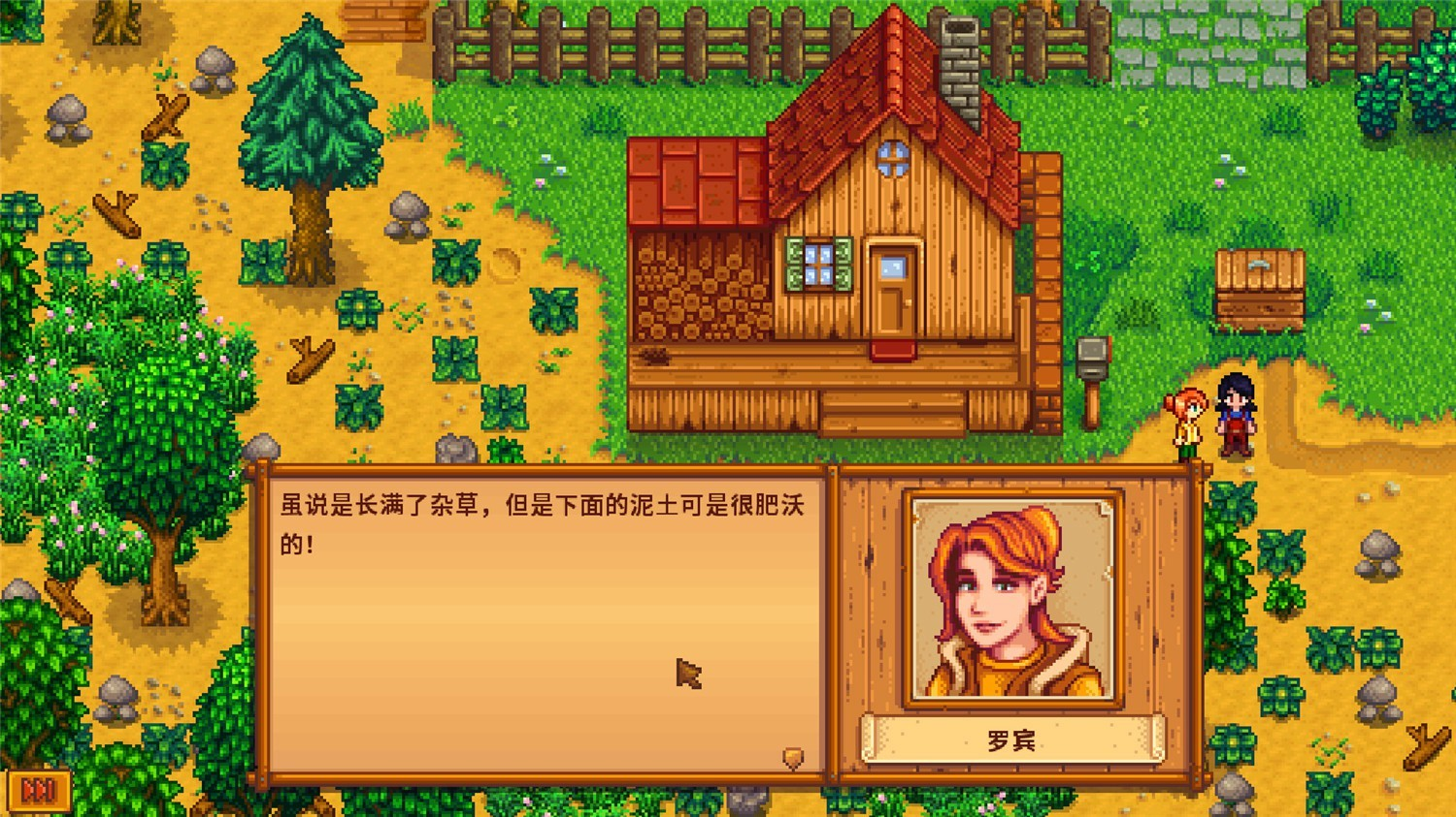 星露谷物语/Stardew Valley-1